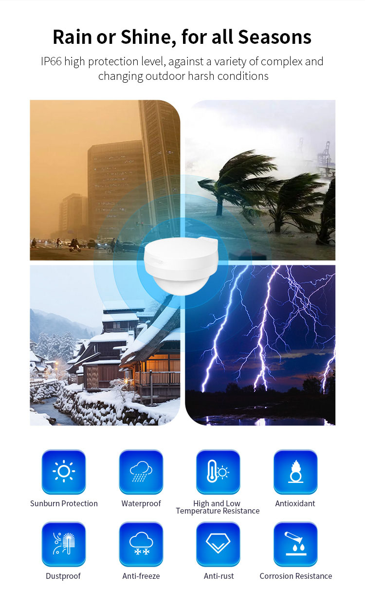 WA933_16.jpg WA933_16.jpg